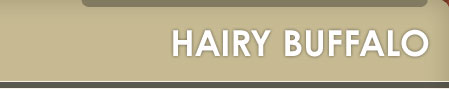 Hairy Buffalo